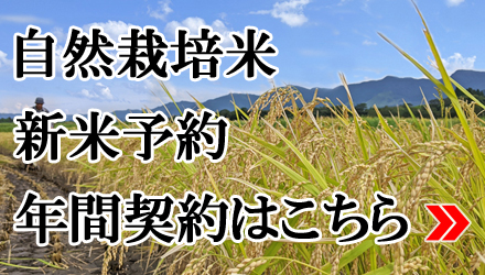 年間契約はこちらから